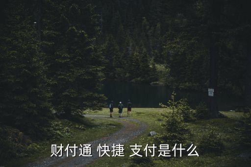 財(cái)付通 快捷 支付是什么