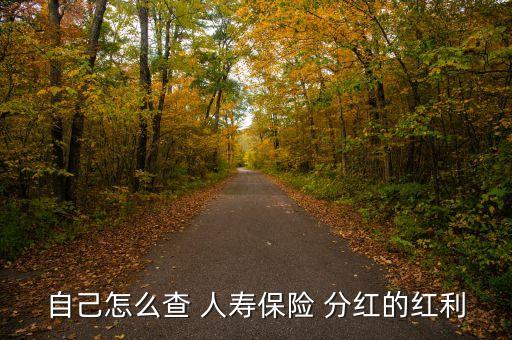 自己怎么查 人壽保險 分紅的紅利