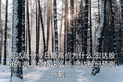  宏達股份今日最高價為什么 宏達股份的 股票價格這么低 宏達股份預測漲到...