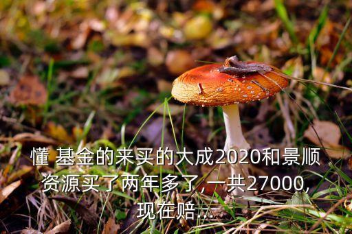 懂 基金的來(lái)買(mǎi)的大成2020和景順資源買(mǎi)了兩年多了,一共27000,現(xiàn)在賠...