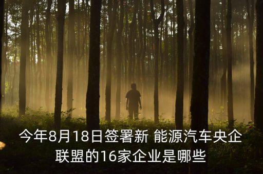 今年8月18日簽署新 能源汽車(chē)央企聯(lián)盟的16家企業(yè)是哪些