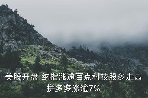 美股開盤:納指漲逾百點(diǎn)科技股多走高拼多多漲逾7%