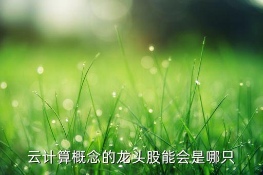 云計(jì)算概念的龍頭股能會(huì)是哪只