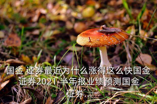 國(guó)金 證券最近為什么漲得這么快國(guó)金 證券2021 半年報(bào)業(yè)績(jī)預(yù)測(cè)國(guó)金 證券...