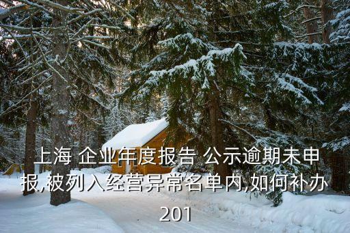  上海 企業(yè)年度報告 公示逾期未申報,被列入經(jīng)營異常名單內(nèi),如何補(bǔ)辦201