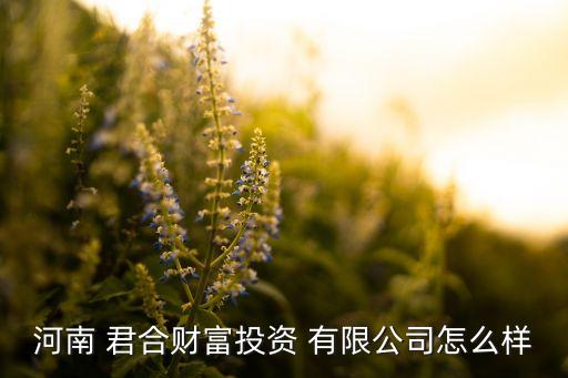 君合國際控股有限公司,北京能源國際控股有限公司