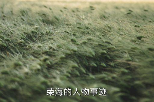 上海海星集團,西安海星集團