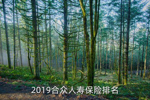 2019合眾人壽保險(xiǎn)排名