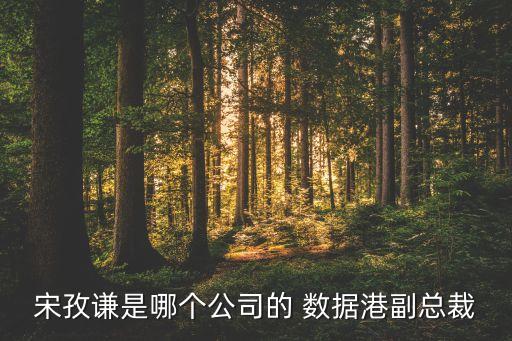 宋孜謙是哪個(gè)公司的 數(shù)據(jù)港副總裁