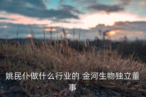 姚民仆做什么行業(yè)的 金河生物獨立董事