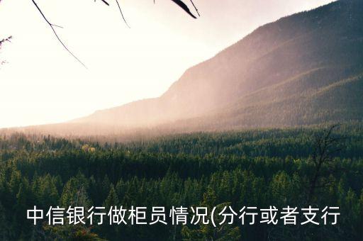 蘇州中信銀行業(yè)務員,中信銀行業(yè)務員工資福利待遇