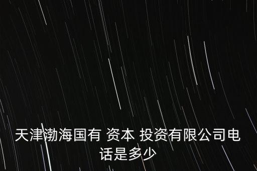 天津渤海國有 資本 投資有限公司電話是多少