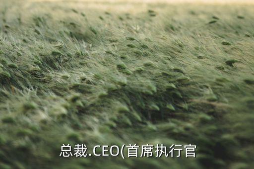  總裁.CEO(首席執(zhí)行官