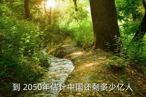 到 2050年估計(jì)中國還剩多少億人