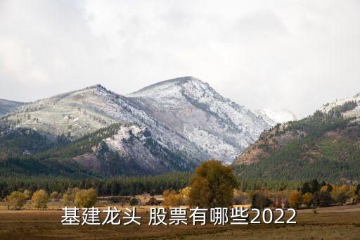 基建龍頭 股票有哪些2022