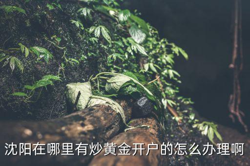 沈陽在哪里有炒黃金開戶的怎么辦理啊