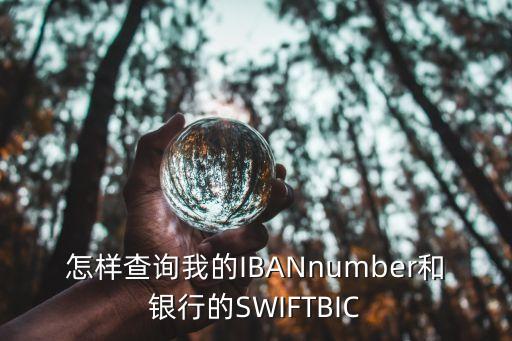 怎樣查詢(xún)我的IBANnumber和銀行的SWIFTBIC