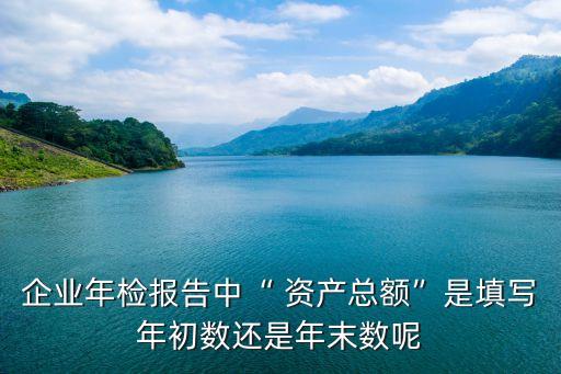 企業(yè)年檢報告中“ 資產(chǎn)總額”是填寫年初數(shù)還是年末數(shù)呢