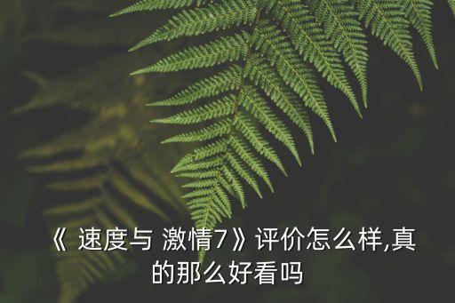 《 速度與 激情7》評價怎么樣,真的那么好看嗎