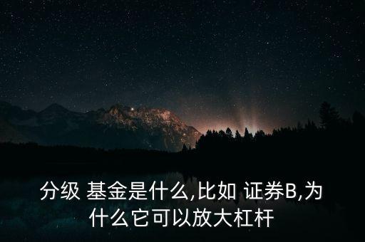 分級 基金是什么,比如 證券B,為什么它可以放大杠桿