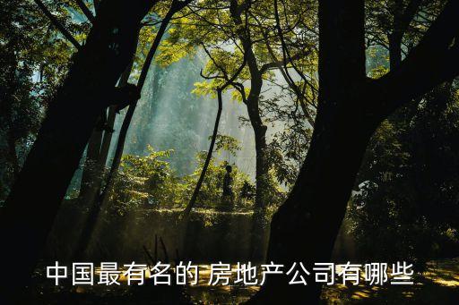 中國(guó)最有名的 房地產(chǎn)公司有哪些