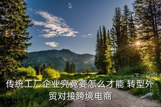 純貿(mào)易公司轉(zhuǎn)型,貿(mào)易公司轉(zhuǎn)型升級的案例