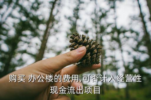 購買 辦公樓的費(fèi)用,可否計(jì)入經(jīng)營性現(xiàn)金流出項(xiàng)目