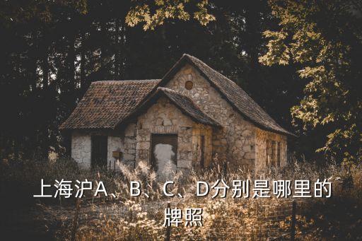  上海滬A、B、C、D分別是哪里的 牌照