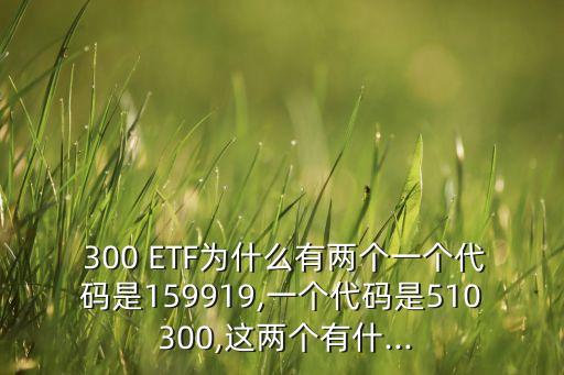 嘉實滬深300中國A股ETF,000176嘉實滬深300