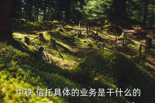  中鐵 信托具體的業(yè)務是干什么的