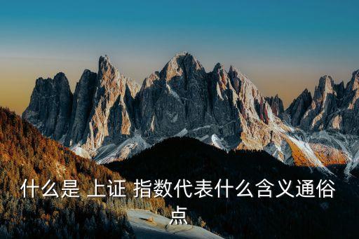 什么是 上證 指數(shù)代表什么含義通俗點(diǎn)