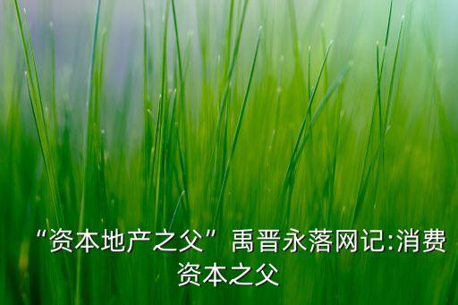 “資本地產(chǎn)之父”禹晉永落網(wǎng)記:消費資本之父