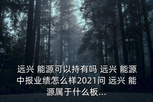  遠(yuǎn)興 能源可以持有嗎 遠(yuǎn)興 能源中報業(yè)績怎么樣2021問 遠(yuǎn)興 能源屬于什么板...