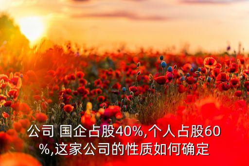 公司 國企占股40%,個人占股60%,這家公司的性質(zhì)如何確定