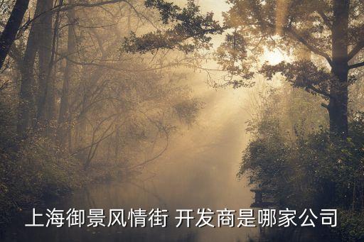 上海御景風(fēng)情街 開發(fā)商是哪家公司