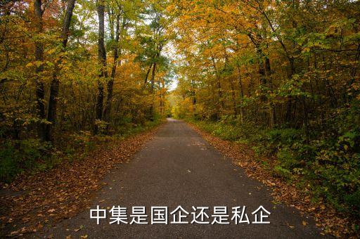 中集集團跨國經(jīng)營環(huán)境,企業(yè)跨國經(jīng)營的環(huán)境