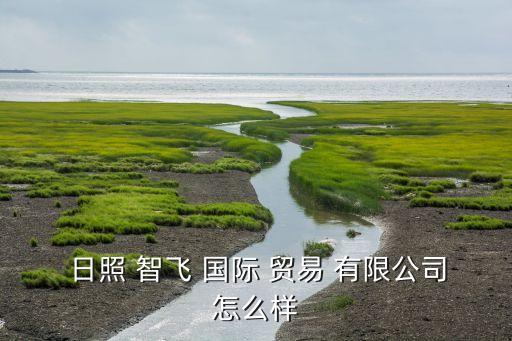 日照智飛國際貿易有限公司,日照海暢國際貿易有限公司