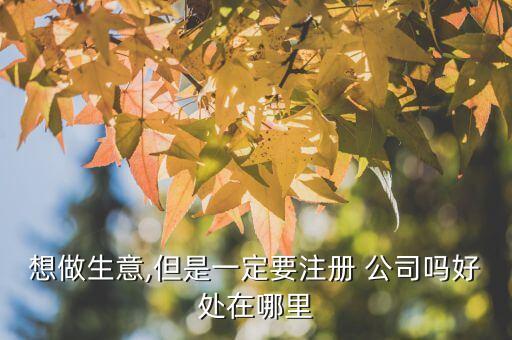 想做生意,但是一定要注冊 公司嗎好處在哪里