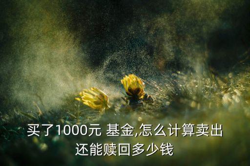 買了1000元 基金,怎么計(jì)算賣出還能贖回多少錢