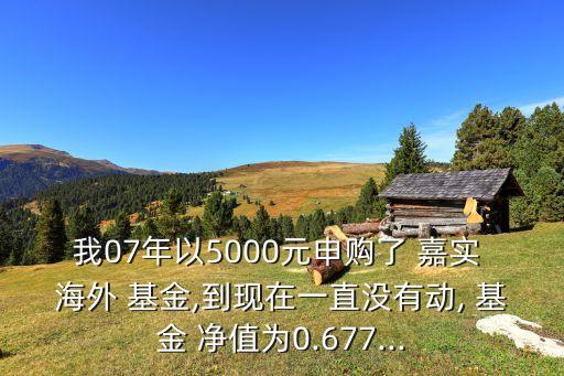 我07年以5000元申購(gòu)了 嘉實(shí) 海外 基金,到現(xiàn)在一直沒有動(dòng), 基金 凈值為0.677...