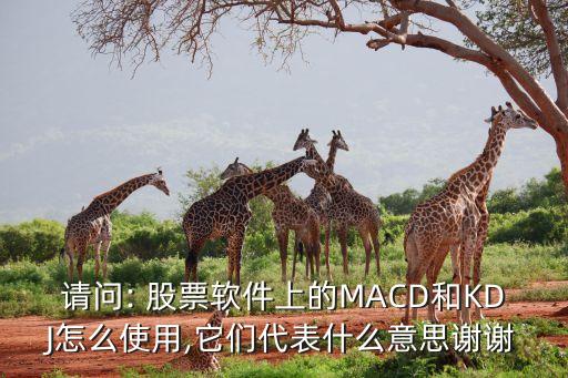 請(qǐng)問(wèn): 股票軟件上的MACD和KDJ怎么使用,它們代表什么意思謝謝