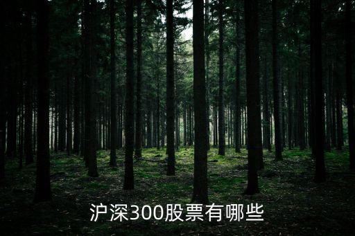 滬深300股票有哪些