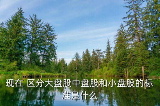 現(xiàn)在 區(qū)分大盤股中盤股和小盤股的標(biāo)準(zhǔn)是什么