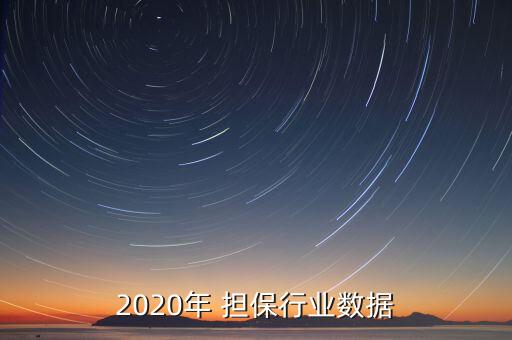 2020年 擔(dān)保行業(yè)數(shù)據(jù)