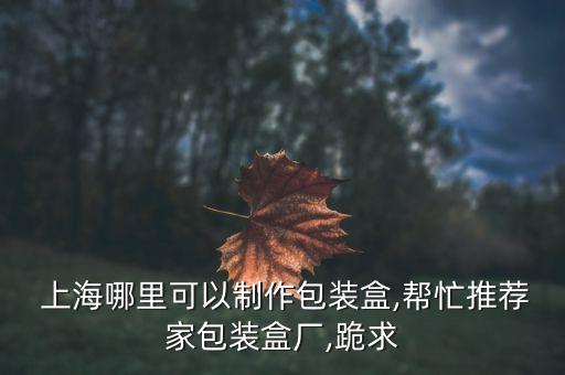 上海金匯通懂事