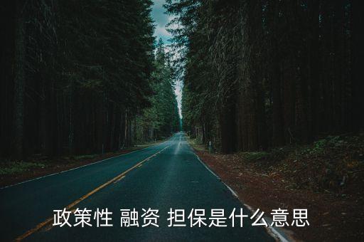 政策性 融資 擔(dān)保是什么意思