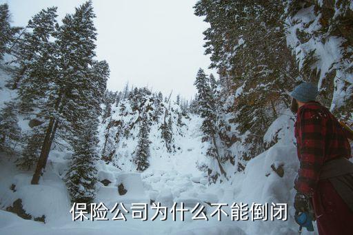  保險(xiǎn)公司為什么不能倒閉