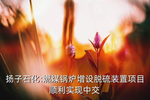 揚子石化:燃煤鍋爐增設脫硫裝置項目順利實現(xiàn)中交