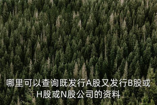 哪里可以查詢既發(fā)行A股又發(fā)行B股或H股或N股公司的資料