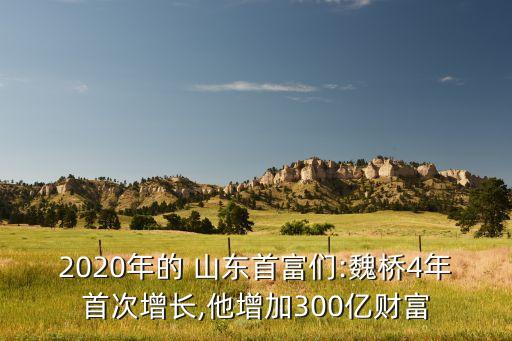 2020年的 山東首富們:魏橋4年首次增長,他增加300億財富